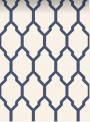 White   for ; Finish -