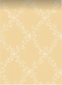 White   for ; Finish -