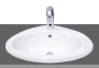 Olympus 56cm TH1 Inset Basin 
