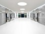 Whites --and-- Plain Colour Collection White Large Format Over 600x600 Porcelain for Wall/Floor; Finish - Natural