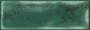Small Format Green Small Format 150x150 - 250x400 Ceramic for Wall; Finish - Gloss/Polished