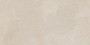 Horizon Light Beige Ceramic Wall Tile 300x600mm
