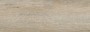 NB19371 Forest Pale Oak 175x500mm - 1.3m²