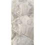 Tan/Brown Large Format Over 600x600 Porcelain for Wall/Floor; Finish - Gloss/Polished