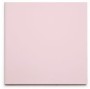 TC753 N&C IKON Blossom Wall Tile 150x150xmm - 0.6m²
