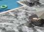 Marble Effect Grey/Silver Medium Format 260x410 - 595x595 Porcelain for Wall/Floor; Finish - Matt