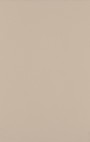 NB1820 Affinity Cappuccino Plain Wall Tile 270x420mm - 2.11m²