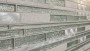 Linear Stick Mosaic Infinity Silver Mixed Wall Tile 289x310mm