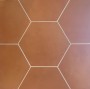 Lily 5 Hexagon Orange Porcelain Floor & Wall Tile 198x228mm