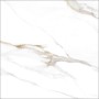 Calacatta Gold Polished Porcelain Floor and Wall Tile 600x600mm
