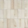 Small Format Ivory/Cream/Beige Small Format 150x150 - 250x400 Porcelain for Wall/Floor; Finish - Gloss/Polished