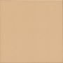 Patterned --and-- Statement Ivory/Cream/Beige Smaller Format Under 150x150 Porcelain for Floor; Finish - Matt