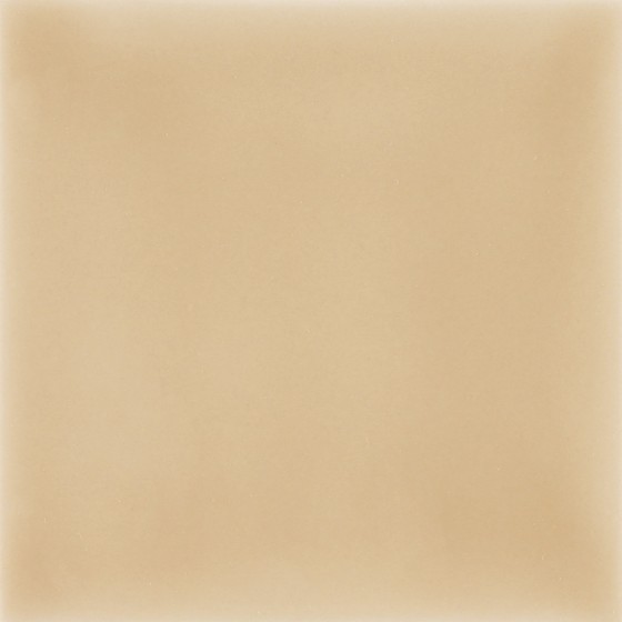 Shades Camelo Ceramic Wall Tile 100x100mm