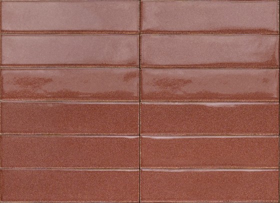Promenade Ruby Gloss Porcelain Wall & Floor Tile 60x240mm