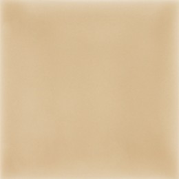 Shades Camelo Ceramic Wall Tile 100x100mm