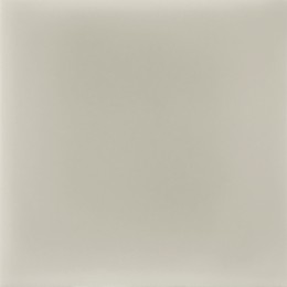 Shades Cinza Claro Ceramic Wall Tile 100x100mm