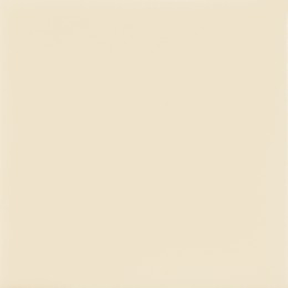 Shades Marfim Ceramic Wall Tile 100x100mm