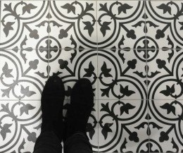 Salisbury Black Flower On White Porcelain Wall & Floor Tile 200x200mm