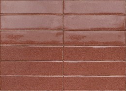 Promenade Ruby Gloss Porcelain Wall & Floor Tile 60x240mm