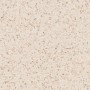 Patterned --and-- Statement Ivory/Cream/Beige Medium Format 260x410 - 595x595 Porcelain for Wall/Floor; Finish - Matt