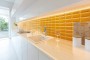 Small Format Orange/Terracotta/Yellow Smaller Format Under 150x150 Ceramic for Wall; Finish - Gloss/Polished