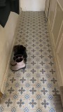 Patterned --and-- Statement Blue/Purple Small Format 150x150 - 250x400 Porcelain for Wall/Floor; Finish - Matt