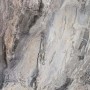 Grey   for ; Finish - Gloss