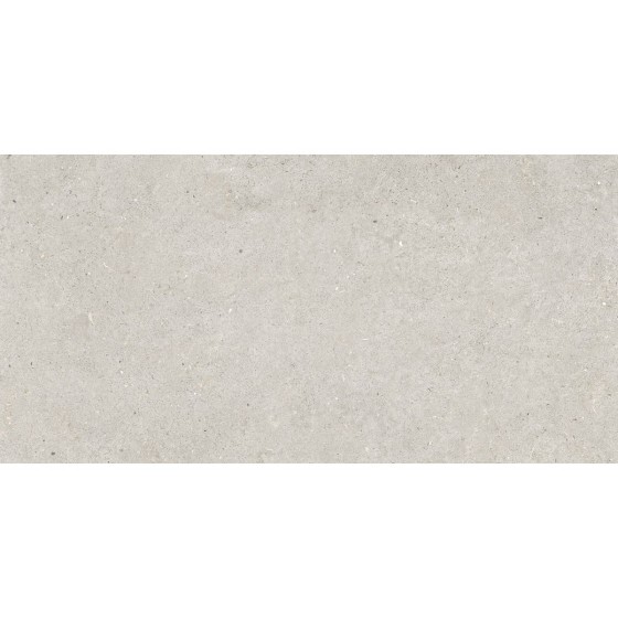 Fossil Light Porcelain Wall And Floor Tile 600x1200mm