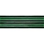 Small Format Green Medium Format 260x410 - 595x595 Ceramic for Wall/Floor; Finish - Gloss/Polished