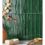 Small Format Green Medium Format 260x410 - 595x595 Ceramic for Wall/Floor; Finish - Gloss/Polished