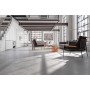 Cement effect Grey/Silver Large Format Over 600x600 Porcelain for Wall/Floor; Finish - Matt