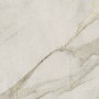 Olympia Gold Marble Porcelain Wall & Floor Tile 75x75mm