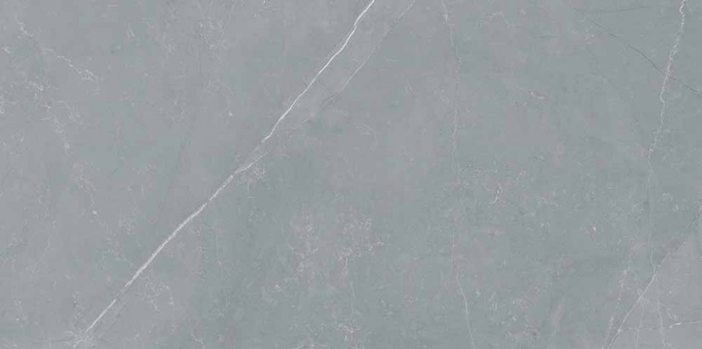 Marbellous Amani Grey Porcelain Wall & Floor Tile 300x600mm N&C Tiles