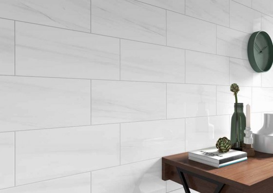 Marbellous Dolomite Bianco Ceramic Wall Tile 250x550mm